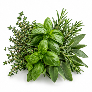 Herbal