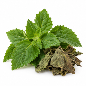 Patchouli
