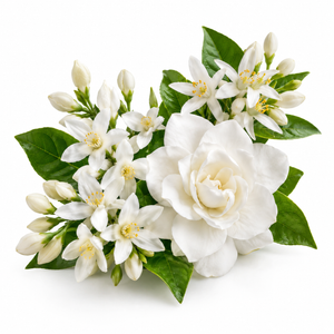 White Floral